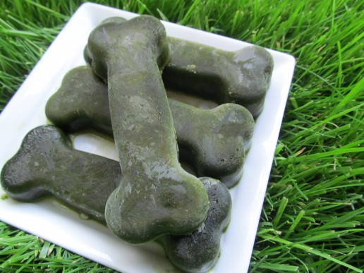 ginger kale dog treat recipe 
