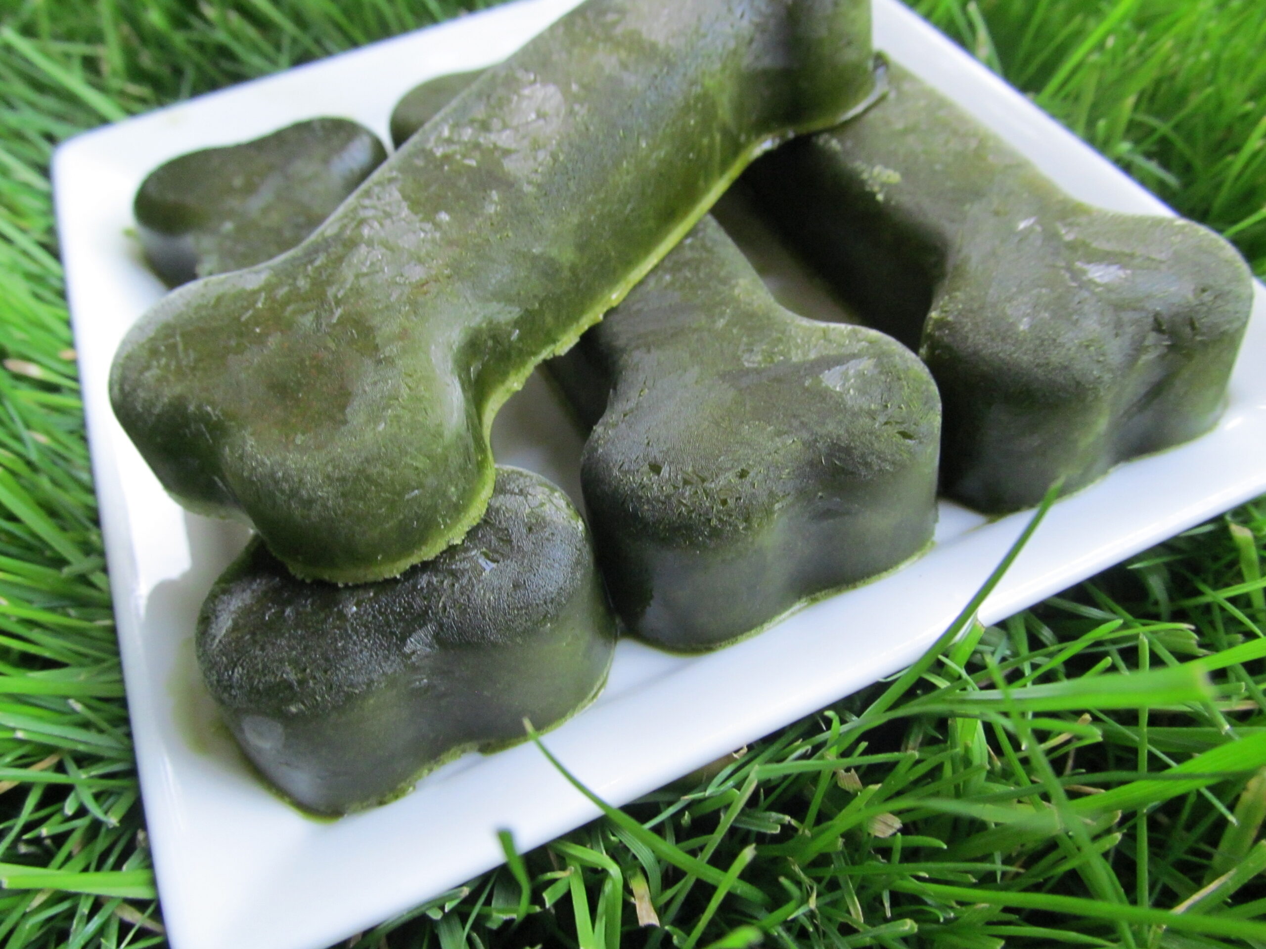 ginger kale dog treat recipe