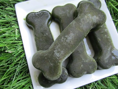 ginger kale dog treat recipe 