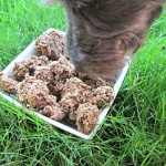 (dairy and wheat-free) strawberry mint beef liver dog treat/biscuit recipe