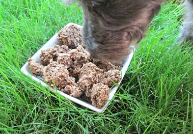 (dairy and wheat-free) strawberry mint beef liver dog treat/biscuit recipe 