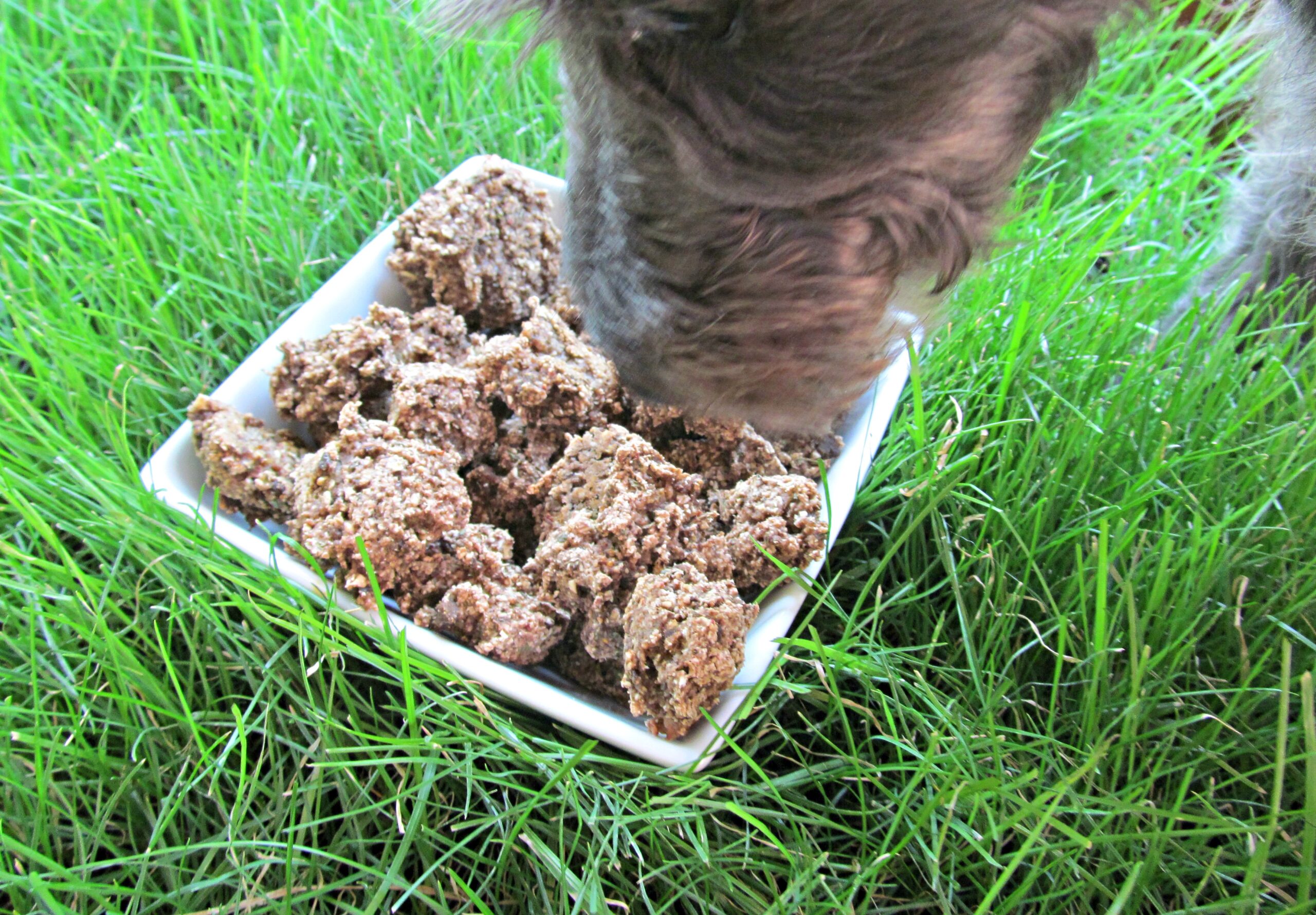 (dairy and wheat-free) strawberry mint beef liver dog treat/biscuit recipe