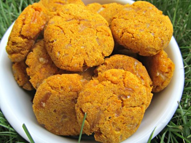 (wheat and gluten-free) cheesy pumpkin dog treat/biscuit recipe 