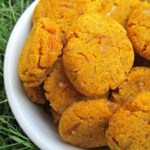 (wheat and gluten-free) cheesy pumpkin dog treat/biscuit recipe