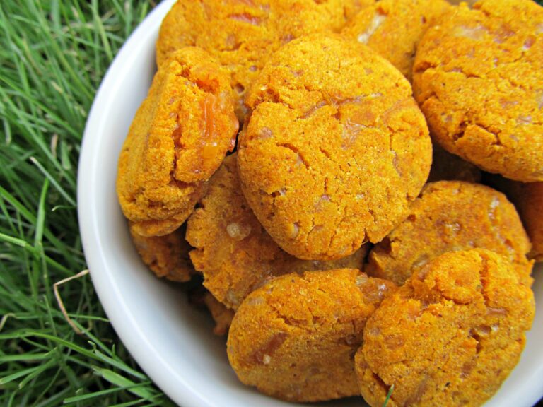 (wheat and gluten-free) cheesy pumpkin dog treat/biscuit recipe