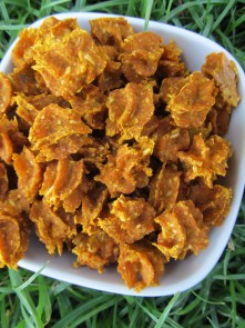(wheat and dairy-free, vegan, vegetarian) ginger pumpkin oat dog treat/biscuit recipe