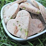 (wheat and dairy-free) broccoli apple dog treat/biscuit recipe