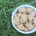 (wheat and dairy-free, vegetarian) honey banana dog treat/biscuit recipe