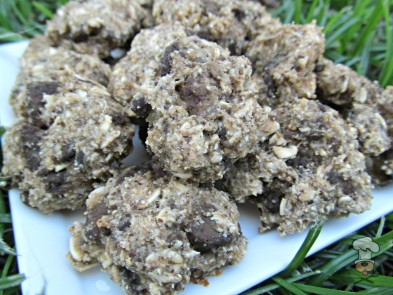 (wheat and dairy-free) liver apple dog treat/biscuit recipe