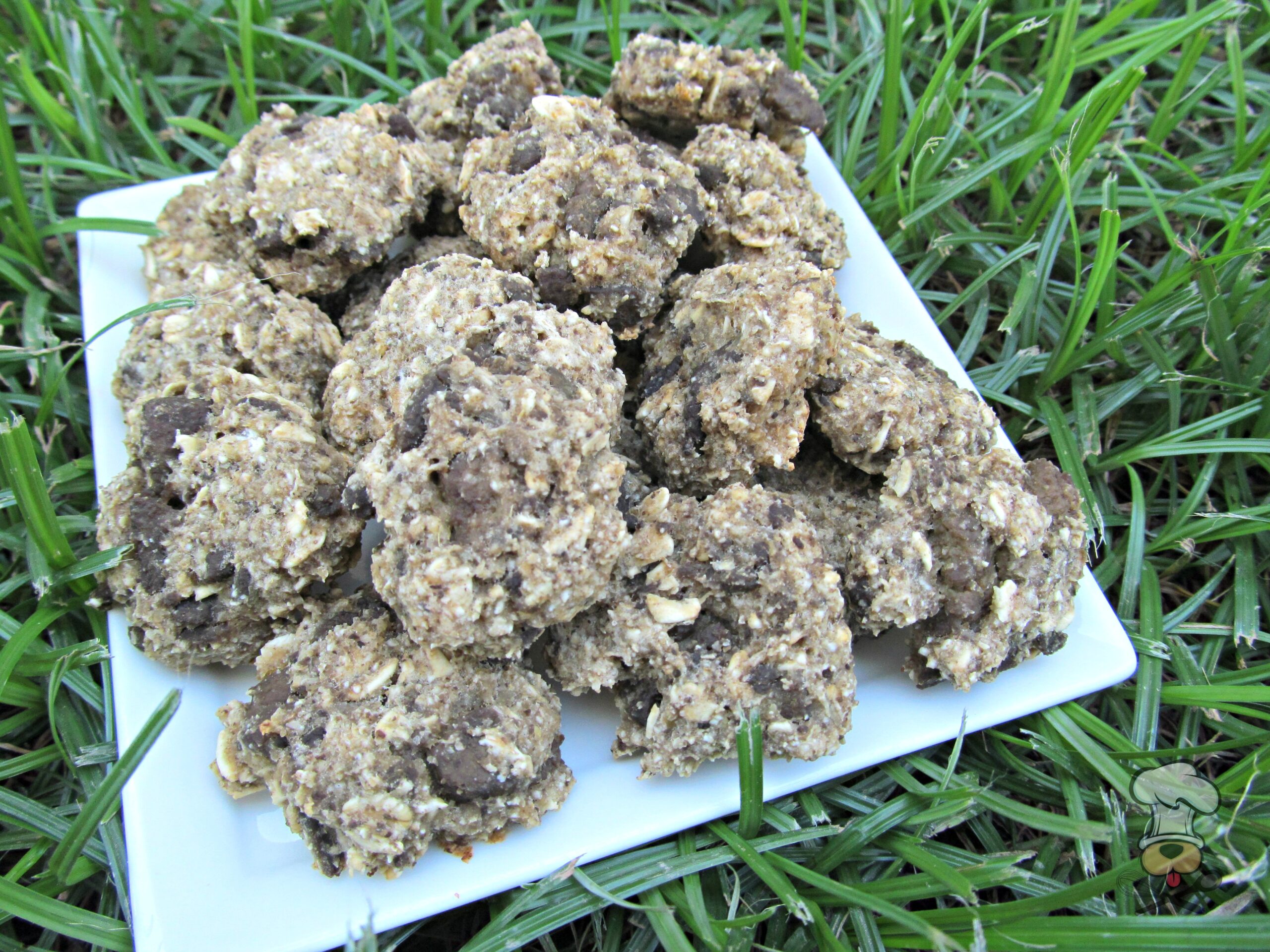 (wheat and dairy-free) liver apple dog treat/biscuit recipe