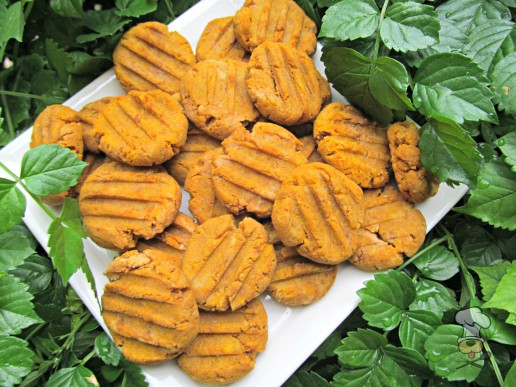 (gluten, wheat and dairy-free, vegan, vegetarian) peanut butter pumpkin dog treat/biscuit recipe