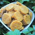 (wheat-free) pumpkin chicken dog treat/biscuit recipe
