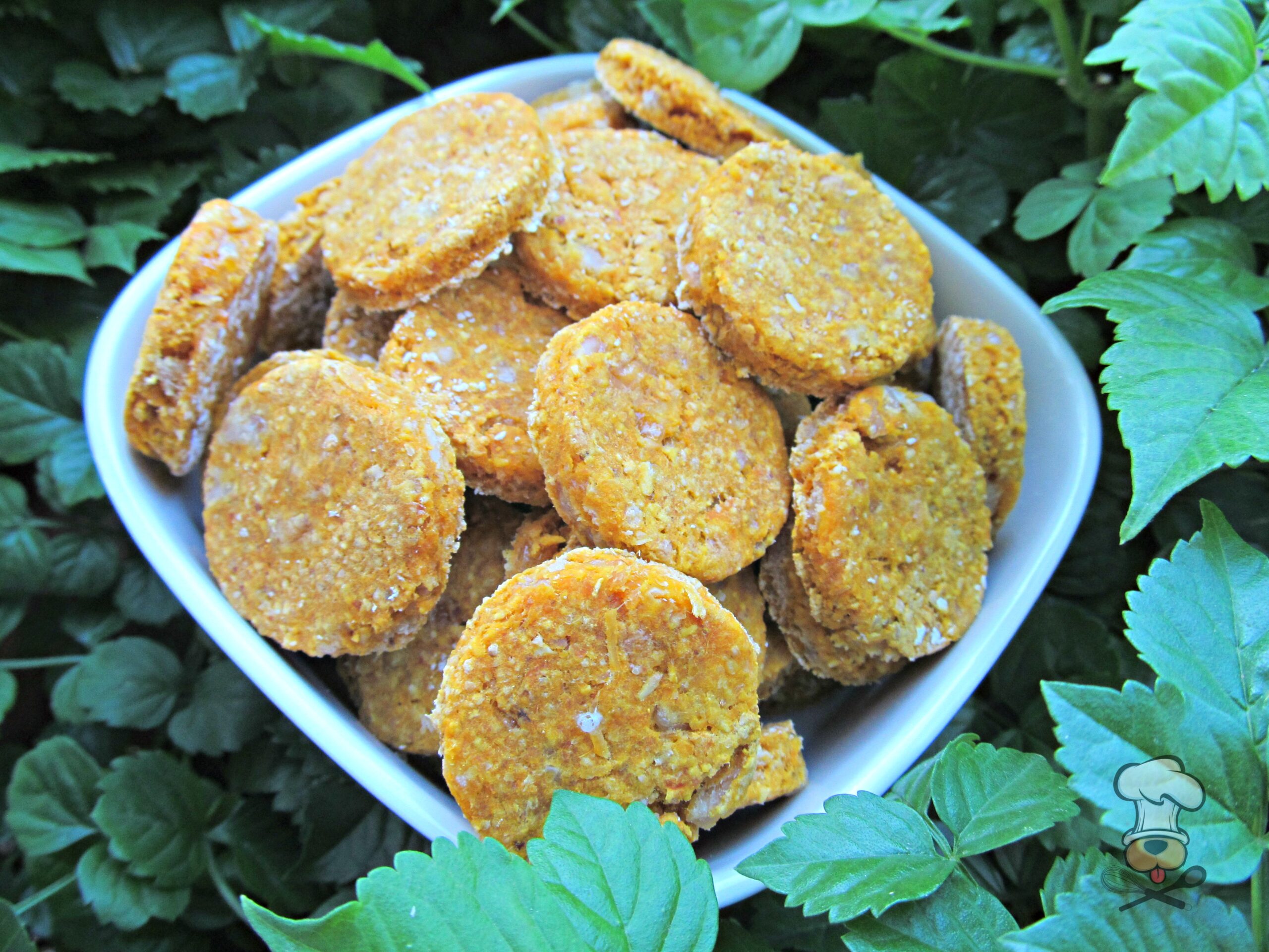 (wheat-free) pumpkin chicken dog treat/biscuit recipe