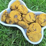 (wheat and gluten-free) carob cranberry pumpkin dog treat/biscuit recipe