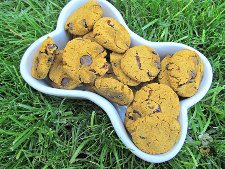 (wheat and gluten-free) carob cranberry pumpkin dog treat/biscuit recipe