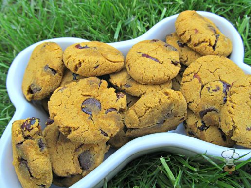 (wheat and gluten-free) carob cranberry pumpkin dog treat/biscuit recipe