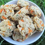 (dairy and wheat-free) carrot ginger chicken dog treat/biscuit recipe