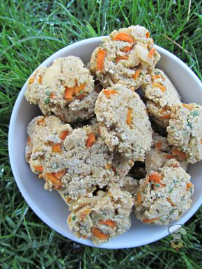 (dairy and wheat-free) carrot ginger chicken dog treat/biscuit recipe