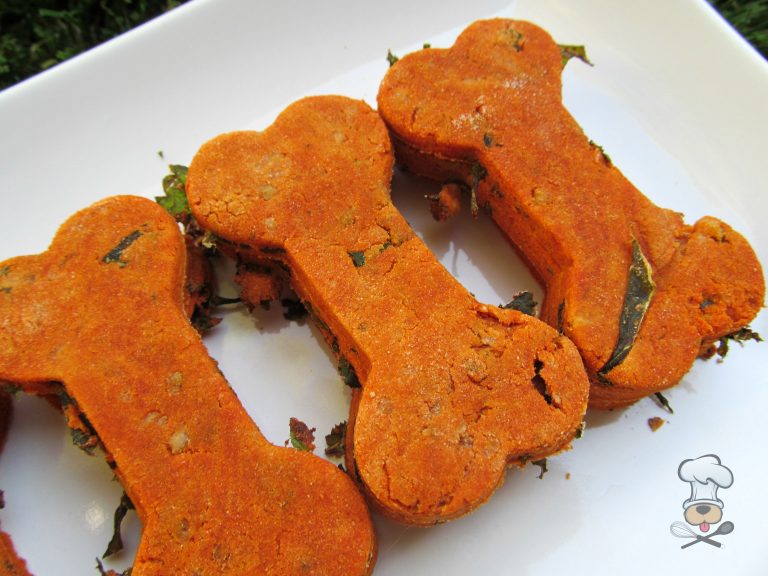 (wheat and gluten-free) cheesy tomato kale dog treat/biscuit recipe