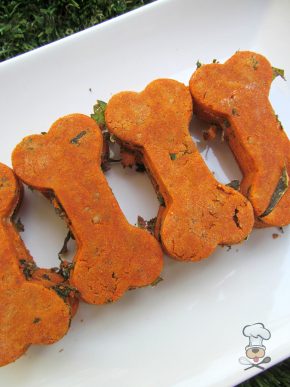 (wheat and gluten-free) cheesy tomato kale dog treat/biscuit recipe