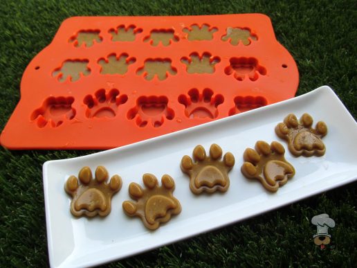 (wheat, grain, gluten and dairy-free) pumpkin turkey gummies dog treat recipe