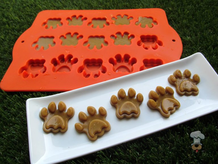 (wheat, grain, gluten and dairy-free) pumpkin turkey gummies dog treat recipe