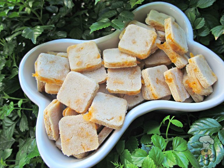 (wheat and gluten-free, vegetarian) apple cheddar ginger dog treat/biscuit recipe