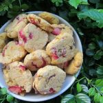 (wheat, dairy and gluten-free) sweet potato strawberry chicken dog treat/biscuit recipe
