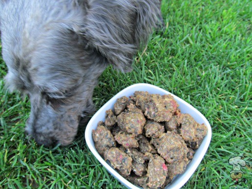 (wheat and dairy-free) strawberry bacon kale dog treat/biscuit recipe