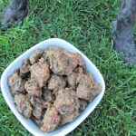 (wheat and dairy-free) strawberry bacon kale dog treat/biscuit recipe