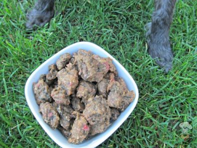 (wheat and dairy-free) strawberry bacon kale dog treat/biscuit recipe