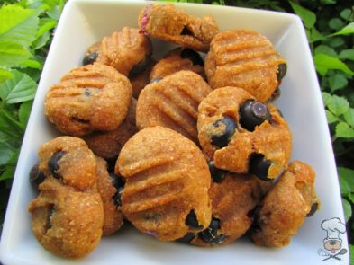 (wheat and dairy-free, vegetarian) blueberry pumpkin dog treat/biscuit recipe