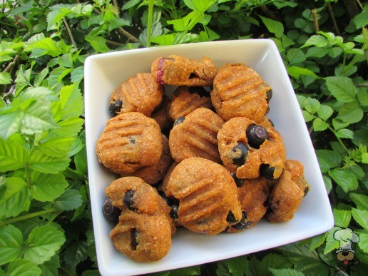 (wheat and dairy-free, vegetarian) blueberry pumpkin dog treat/biscuit recipe