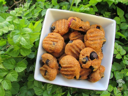 Blueberry pumpkin dog clearance treats