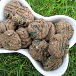 (grain, gluten and wheat-free) ham & kale dog treat/biscuit recipe
