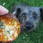(gluten, grain and wheat-free) mint parmesan sweet potato chews dog treat recipe