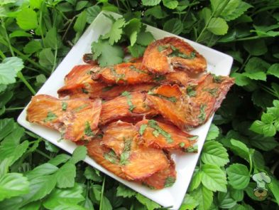 (dairy, gluten, grain and wheat-free) cilantro ginger chicken jerky dog treat recipe