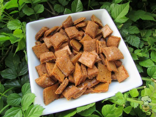 (wheat, dairy -free, vegetarian) ginger molasses sweet potato dog treat/biscuit recipe