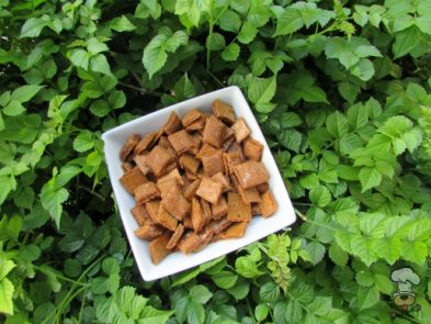 (wheat, dairy -free, vegetarian) ginger molasses sweet potato dog treat/biscuit recipe