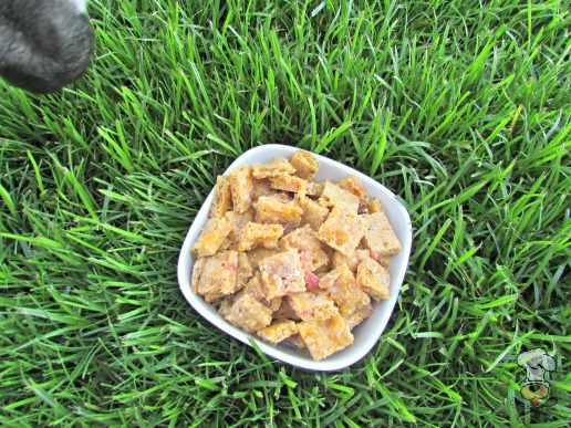 (wheat-free) bacon cheddar thyme dog treat/biscuit recipe