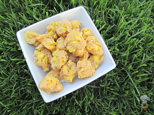 (wheat and gluten-free) cheesy mango dog treat/biscuit recipe