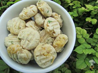 (wheat and gluten-free) coconut chicken dog treat/biscuit recipe