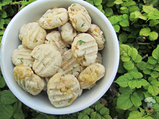 (wheat and gluten-free) coconut chicken dog treat/biscuit recipe