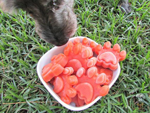 (dairy, gluten, grain and wheat-free, vegan, vegetarian) frozen basil watermelon tomato dog treat recipe