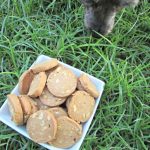 (wheat, gluten, dairy-free, vegan, vegetarian) double peanut, peanut butter dog treat/biscuit recipe