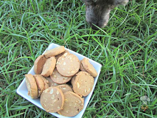 (wheat, gluten, dairy-free, vegan, vegetarian) double peanut, peanut butter dog treat/biscuit recipe