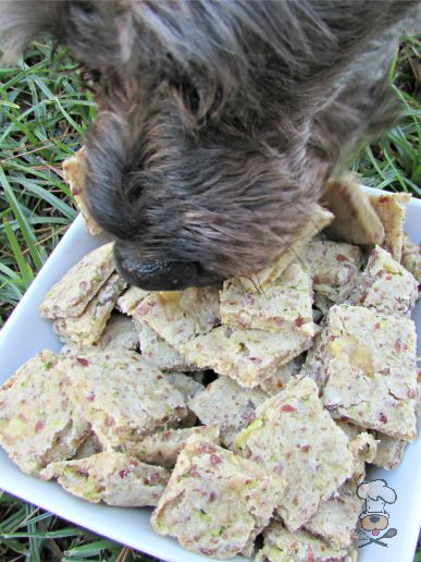 (wheat, gluten, dairy-free, vegan, vegetarian) flax seed zucchini banana dog treat biscuit recipe
