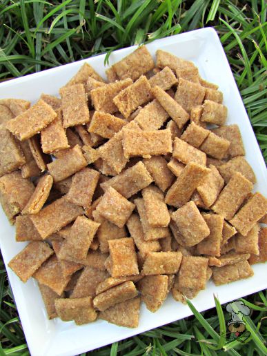 (wheat and dairy-free, vegan, vegetarian) peanut butter apple cinnamon dog treat/biscuit recipe 
