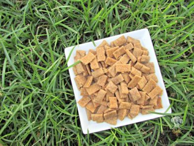 (wheat and dairy-free, vegan, vegetarian) peanut butter apple cinnamon dog treat/biscuit recipe 