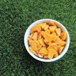 (wheat and gluten-free) cheesy sweet potato dog treat/biscuit recipe